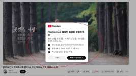 thank you - 뽐뿌:PC/인터넷 thank you