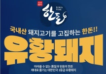 [옥션]유황먹은 돼지 찌개용 300g 4개(9,590/3,500) - 뽐뿌:뽐뿌게시판