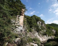 걸어서 제천 속으로… 내륙의 비경 제천, 눈·발 사로잡다 - 뽐뿌:뉴스게시판 걸어서 제천 속으로… 내륙의 비경 제천, 눈·발 사로잡다