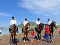 제주 해수욕장에 ‘기마순찰’ 떴다 - 뽐뿌:뉴스게시판 제주 해수욕장에 ‘기마순찰’ 떴다