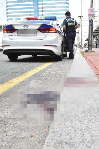 [1보] 경찰, '서현역 흉기 난동' 20대 피의자 구속영장 신청 - 뽐뿌:사회/문화뉴스 [1보] 경찰, '서현역 흉기 난동' 20대 피의자 구속영장 신청