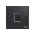 AM10120-BG | ABB AM10120-BG | ABB 
