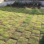 庭 家庭菜園を楽しむのおしゃれなインテリアコーディネート・レイアウトの実例 ｜ RoomClip（ルームクリップ） | RoomClip... 