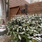 白いフェンス/庭/雪だるま/オラフ/3月末なのに…...などのインテリア実例 - 2019-03-31 21:00:15 ｜ RoomClip（ルームクリップ）... 