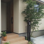 玄関/イロハモミジ/GREENのある暮らし/観葉植物のある暮らし/RCの出会いに感謝♡...などのインテリア実例 - 2022-09-07 17:24:29... 