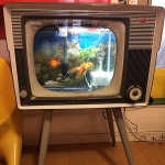 リビング/ヴィンテージ家具/男の隠れ家/フェイクグリーン/ひとり暮らし...などのインテリア実例 - 2019-02-06 16:13:43 ｜ RoomClip... 