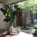 部屋のインテリア実例、オススメ30枚をピックアップ vol.167 ｜ RoomClip（ルームクリップ）