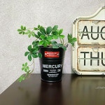 観葉植物のある暮らし/MERCURY バケツ/MERCURY/マーキュリーのバケツ/マーキュリー...などのインテリア実例 - 2022-09-17 13:52:24... 