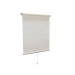 ロールスクリーン/永大ドア/わが家のドア/リビングの一角/ドライフラワー...などのインテリア実例 - 2020-09-25 13:39:25 ｜ RoomClip... 