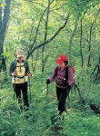 [주말산행코스] 오지의 산 십자봉 < Season Special < 테마산행 < 기사본문 - 월간산 [주말산행코스] 오지의 산 십자봉