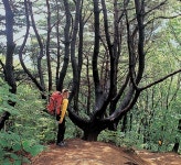 [왕방산|코스가이드] 태조 이성계발자취 스며있는 포천 명산 < Season... 월간산 [왕방산|코스가이드] 태조 이성계발자취 스며있는 포천 명산