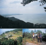 인쇄하기