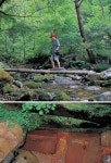 [테마 특집 약수③] 전국 유명 약수 14선 - 양양 갈천약수 & 약수산... [테마 특집 약수③] 전국 유명 약수 14선 - 양양 갈천약수 & 약수산