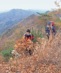 [특별부록지도 코스가이드] 봉수산 < Season Special < 테마산행 < 기사본문 - 월간산 [특별부록지도 코스가이드] 봉수산