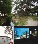 [발굴 코스] ‘심산유곡’ 울진 천축산 - 사기점골~정상~북바위봉~불영사... ‘심산유곡’ 울진 천축산 - 사기점골~정상~북바위봉~불영사 새 코스 답사
