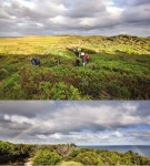 [특파원 르포 | 호주 트레킹] 그레이트 오션 워크 < 해외 < 기사본문 - 월간산 [특파원 르포 | 호주 트레킹] 그레이트 오션 워크