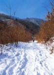 [2013년 1월호 특별부록지도 코스가이드ㅣ무갑산] 내리뻗고 에두른... 코스가이드ㅣ무갑산] 내리뻗고 에두른 산릉 곳곳에 깊은 맛, 뛰어난... 