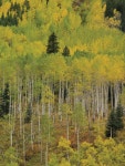 미서부의 자연 < Season Special < 테마산행 < 기사본문 - 월간산 [화보ㅣ미국 서부] 꿈을 꾸게 했고 추억을 되살려 주는 미서부의 자연