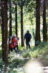 [섬 산행 코스가이드 | 통영 욕지도 천황산] 찬바람 불어도 늘 푸른섬 < Season Special < 테마산행 < 기사본문 - 월간산 [섬 산행 코스가이드... 