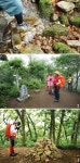 [시즌 특집2 알탕산행 | 십자봉] 십자봉 넘어 청정 계곡 찾아가는 길 < 여름 산행 < 이 달의 산 < 기사본문 - 월간산 [시즌 특집2 알탕산행 | 십자봉]... 