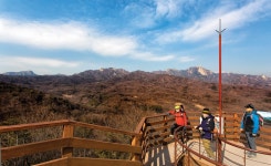 [시즌 특집 | 서울 북부 4대 명산_도봉산 북한산 둘레길] 아늑한... 4대 명산_도봉산 북한산 둘레길] 아늑한 산자락 길 걸으면 몸과 마음 가뿐!