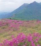 [철쭉산행 가이드ㅣ화순 안양산] 봄이면 붉게 물드는 백마능선을 보라 < 봄 산행 < 이 달의 산 < 기사본문 - 월간산 [철쭉산행 가이드ㅣ화순 안양산]... 