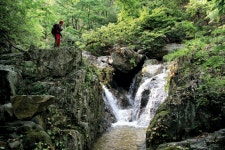 [주말산행 | 경상도의 산 세덕산 741m / 경북 울진군 금강송면] 묵은 더위 날려버릴 울진 깊은 오지의 청정계곡 < Season Special < 테마산행... 