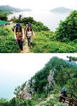 [주말산행 | 전라도의 산 하화도 큰산 114m / 전라남도 여수시 화정면] 바다에 떠 있는 환상의 정원, 쉼표 같은 힐링의 섬 < Season Special... 