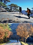 [명산순례기 | 북바위산] 세상에 소나무보다 부드러운 나무가 있을까?... 월간산 [명산순례기 | 북바위산] 세상에 소나무보다 부드러운 나무가 있을까?