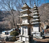 [닭띠 명산ㅣ계룡산 르포] 계룡이 뿜어내는 새벽닭 소리가... < Season Special < 테마산행 < 기사본문 - 월간산 [닭띠 명산ㅣ계룡산 르포] 계룡이... 