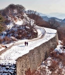 인쇄하기
