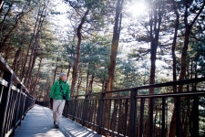 이렇게 감미로운 숲이 있는데 < 걷기 좋은 길 < 둘레길 < 기사본문 - 월간산 [서울 남부 명산 | 관악산·삼성산 걷기길] 누가 ‘악’산이라 했나요?... 