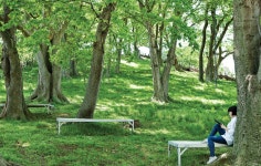 [산림청 개청 50주년 특집, ‘이제는 숲힐링이다’ | 왜 숲힐링인가?... 숲힐링이다’<4> | 왜 숲힐링인가?] 숲길만 걸어도 치유효과... 