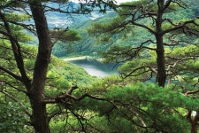 [명산순례기 | 공작산] 비단결같이 부드럽고 우아한 숲의 나라 < 가을... 월간산 [명산순례기 | 공작산] 비단결같이 부드럽고 우아한 숲의 나라