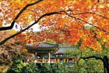 위로 내려앉은 울긋불긋 단풍 < 걷기 좋은 길 < 둘레길 < 기사본문 - 월간산 [가을 동화 속 걷기 가이드 | 서산 아라메길] '백제의 미소'... 