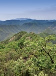 [특별부록지도 코스가이드 | 진악산] 인삼의 고장 비단뫼錦山의... [특별부록지도 코스가이드 | 진악산] 인삼의 고장 비단뫼錦山의 진산