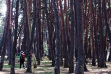 바우길” < 걷기 좋은 길 < 둘레길 < 기사본문 - 월간산 [새 걷기길② | 올림픽 아리바우길] “강원도의 이야기와 멋이 숨어 있는 두 번째 바우길”