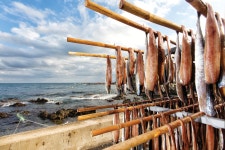 [계절의 맛+멋 코스가이드 | 포항 과메기+비학산] 포항 구룡포의... 코스가이드 | 포항 과메기+비학산] 포항 구룡포의 바닷바람이 만드는 겨울... 