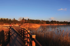 [평창 올림픽 특집 강릉권 걷기가이드 | 향호 바람의 길] 호젓한 호수... 걷기가이드 | 향호 바람의 길] 호젓한 호수 주변길과 솔숲이... 