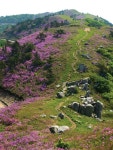 [시즌특집 철쭉 명산 남부 10선] ⑩남해 망운산 < 봄 산행 < 이 달의 산 < 기사본문 - 월간산 [시즌특집 철쭉 명산 남부 10선] ⑩남해 망운산