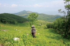 [악돌이 박영래의 만화산행｜특별부록지도 코스가이드｜백암산] 등산로... 코스가이드｜백암산] 등산로 대부분 가령폭포 좌우로 포진(布陣)