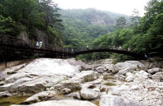 [피서특집Ⅱ 한국의 10대 계곡 | 청학동 소금강계곡 가이드] 굽이굽이... 청학동 소금강계곡 가이드] 굽이굽이 절정 감춘 명승지 제1호