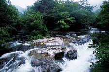 < 여름 산행 < 이 달의 산 < 기사본문 - 월간산 [피서특집Ⅱ 한국의 10대 계곡 | <7> 덕유산 구천동계곡 가이드] 한여름도 비켜가는 서늘함을... 