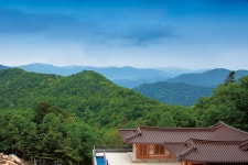 [10월의 명산│오대산] 자장율사와 오대, 고목의 美 즐기는 산 < Season Special < 테마산행 < 기사본문 - 월간산 [10월의 명산│오대산]... 