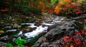 [기록에 전하는 단풍 명산 | 3선 가이드| ①지리산] 산도 붉고,물도 붉고,사람도 붉은… 삼홍소의 원조 피아골 단풍 < 가을 산행 < 이 달의 산... 