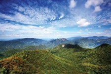 [고속도로휴게소 주변 산 & 여행지ㅣ문경휴게소(창원 방향)ㅣ②황장산 가이드] 백두대간을 장식한 멋진 바위와 소나무를 보라! < Season Special... 