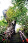 [고속도로휴게소 주변 산 & 여행지｜백양사휴게소(논산 방향) ③입암산 가이드] 탁월한 조망과 내장산 못지않은 단풍빛 < Season Special... 