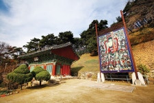 [고속도로휴게소 주변 산 & 여행지 | 죽암휴게소(서울 방향) ④명소와 관광지] 몽환적인 물안개와 함께하는 대청호 여행의 묘미! < Season Special... 