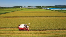 [연재 | 산따라 맛따라 243 | 철원 복계산] 철원오대쌀의 긍지, 밥이 보약이다 < Season Special < 테마산행 < 기사본문 - 월간산 [연재 | 산따라... 