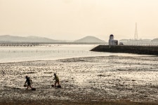 신안ㅣ병풍도] ‘가고 싶은 섬, 12사도 순례길’ 2월 개통... 1004섬' 신안ㅣ병풍도] ‘가고 싶은 섬, 12사도 순례길’ 2월 개통